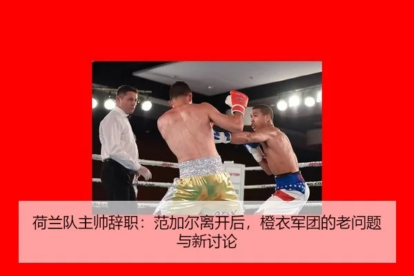 he-lan-dui-zhu-shuai-ci-zhi-fan-jia-er-li-kai-hou-cheng-yi-jun-tuan-de-lao-wen-ti-yu-xin-tao-lun-2-420.jpg